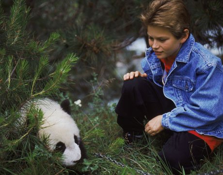 ���������� ����������� � �����